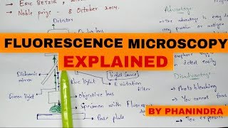 fluorescence microscopy  Mechanism  Advantages and disadvantages [upl. by Stiegler]