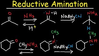 Reductive Amination of Ketones amp Aldehydes With NaBH3CN [upl. by Mar]