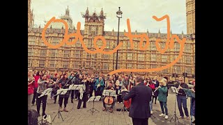 Flash Mob in London Ode to Joy 2019 [upl. by Ailalue]