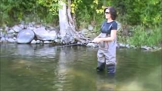 Fall Salmon Run on the Sheboygan River [upl. by Noemad46]