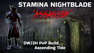 quotAssassinquot Stamina Nightblade PvP Build DW2H Ascending Tide [upl. by Guendolen160]