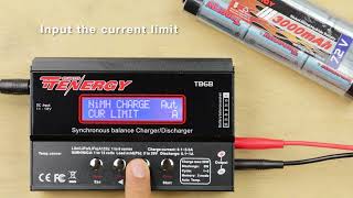 How To Charge Series Charging NiMH Battery Packs on the TB6B [upl. by Orapma]