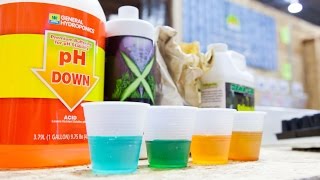 A Beginners Guide Hydroponic Nutrients [upl. by Eppilihp40]