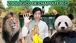 VISITANDO EL ZOOLÓGICO DE CHAPULTEPEC  VLOG [upl. by Kelli]