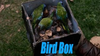 Bird Box Explained by an idiot [upl. by Tyika]