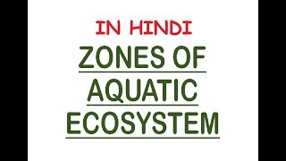 Aquatic Ecosystem Zones  PhoticAphotic Limnetic Pelagic Intertidal Neritic In Hindi [upl. by Nalyac]