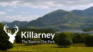 Visit Killarney  Official Destination Video [upl. by Giwdul444]