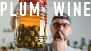 Plum Wine  I make umeshu [upl. by Acnoib]