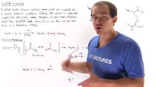 Disulfide Bond Formation [upl. by Eugenides]