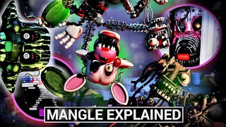 FNAF Animatronics Explained  MANGLE Five Nights at Freddys Facts [upl. by Middleton]