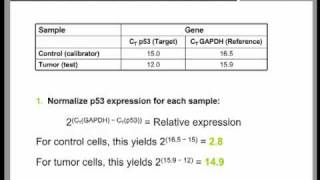 iQCheck RealTime PCR Solutions [upl. by Auburta]