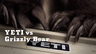 YETI vs Grizzly Bear  YETI Coolers [upl. by Ogirdor]