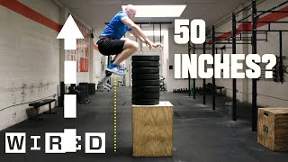 Why Its Almost Impossible to Jump Higher Than 50 Inches  WIRED [upl. by Ulu]