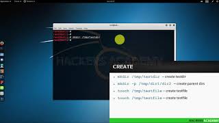 How to Creating Files and Directories for Kali Linux [upl. by Tulley]