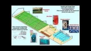 Aquaponics Systems [upl. by Nahbois300]