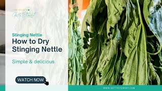 How to Dry Stinging Nettle [upl. by Avle]