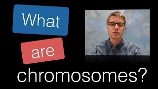 What are Chromosomes [upl. by Ecadnac]