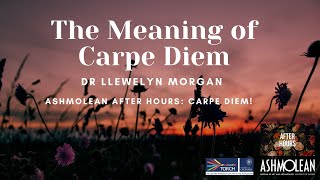 The Meaning of Carpe Diem [upl. by Fulbert]