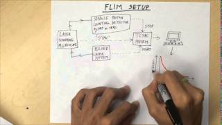 Fluorescence Lifetime Imaging Microscopy FLIM  Overview [upl. by Aiel]