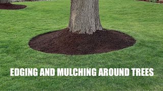 EDGING and MULCHING around TREES  How to get a CLEAN LOOK [upl. by Kcod]