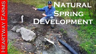 Developing a Natural Spring  OffGrid Water  Well  Prepping  WROL  Solar Pump  Heartway Farms [upl. by Hartnett]