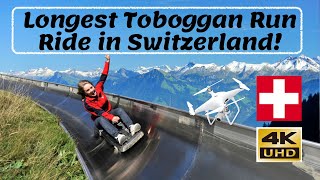 Longest Summer Toboggan Ride in Switzerland  4K Video [upl. by Rudolf]