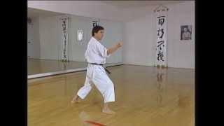 Jion  Efthimios Karamitsos  Karate Shotokan Kata [upl. by Theda]