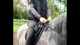 Gertenwechsel beim Reiten [upl. by Valene]