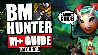 102 Beast Mastery Hunter M Guide [upl. by Vieva]