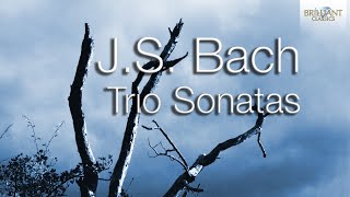 JS Bach Trio Sonatas [upl. by Clerc84]