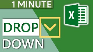 Excel Drop Down List 2020  1 MINUTE [upl. by Ellenaej]