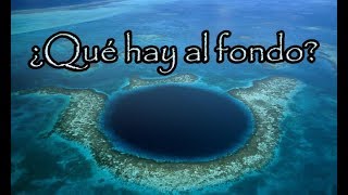 Revelan lo que Hay al FONDO del Gran Agujero Azul de Belice Y no es Nada Bueno [upl. by Assirahs708]