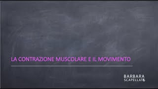 La contrazione muscolare [upl. by Langdon]