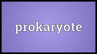 Prokaryote Meaning [upl. by Bowden586]