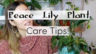 Peace Lily Plant Care Tips amp Tricks  Peace Lily Houseplant Care [upl. by Nosylla]