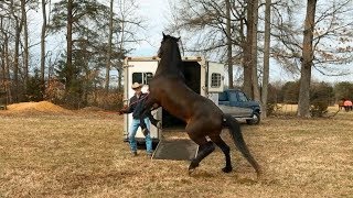 How To Register Trailer at DMV For Title▶️ Harbor Freight Home Assembled Trailer Registration [upl. by Weaver]