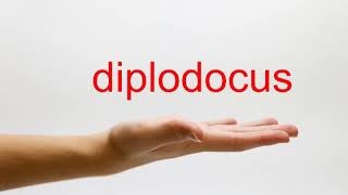 How to Pronounce diplodocus  American English [upl. by Adnovaj]