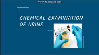 Chemical examination of Urine Proteins [upl. by Sheffie93]