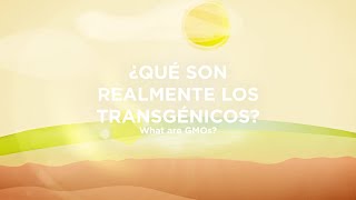 Ciencia animada UPM Qué son los transgénicos [upl. by Arny]