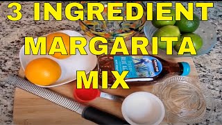 How To Make Margarita Mix  Easy Margarita Recipe [upl. by Knudson394]