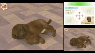 Lets Try DS 0090  Nintendogs Lab amp Friends [upl. by Acilegna]