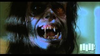 Werewolf transformation  The Howling 1981 [upl. by Aileno]