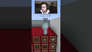 WALLIBEAR TAKES ON MOB ARENA gaming ⁠youtube funny minecraft memes tiktok shorts ytshorts [upl. by Aniretac]