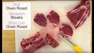 DIY Butcher Skills How to cut Beef Tenderloin [upl. by Babbette]