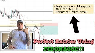 How To Get PERFECT Forex Entries Using FIBONACCI INSANE Mamba [upl. by Daisi81]