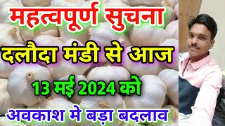 दलौदा मंडी से महत्वपूर्ण सुचना 13 मई 2024 Dalauda Mandi bhav important information Daloda Mandi [upl. by Tyre858]