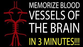 MNEMONIC Brains Blood Supply MEMORIZE in 3 Minutes [upl. by Elyagiba]