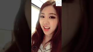 LISA amp ROSÈ VLIVE ft JISOO  CHULICHAENG LIVE  BLACKPINK [upl. by Idnak]