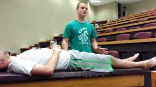 Straight Leg Raise Test Lasègue test for Disc Herniation [upl. by Oiratnom223]