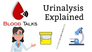 urinalysis explained full  Whats in your urine [upl. by Aniral897]